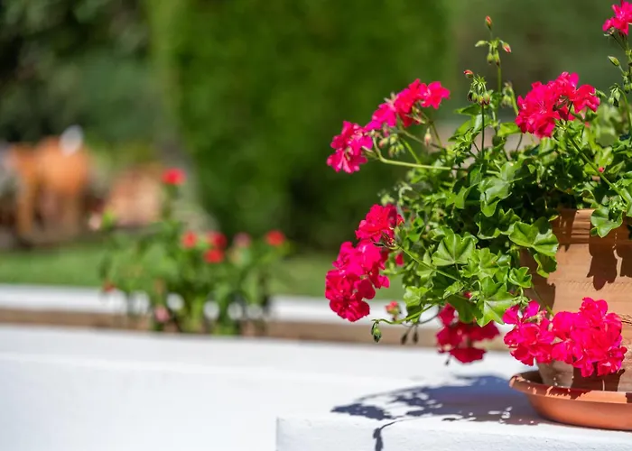 Dom wakacyjny Tirana Pollensa