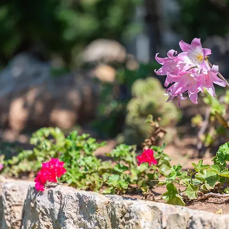 Tirana Ferienhaus Pollença